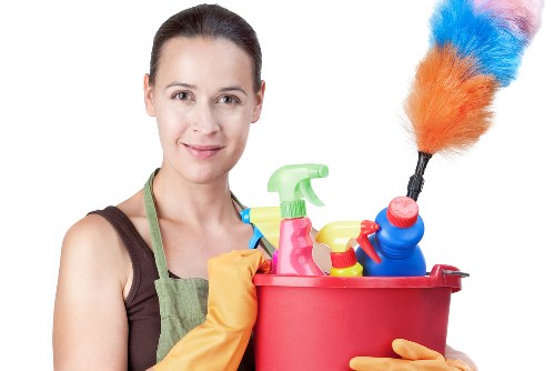 Pet stain odour removal in Isle Of Dogs for carpets