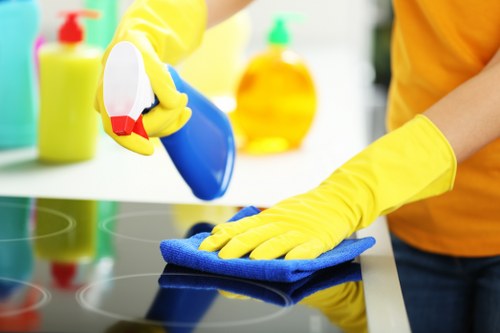 Professional carpet steam cleaning in a busy London property