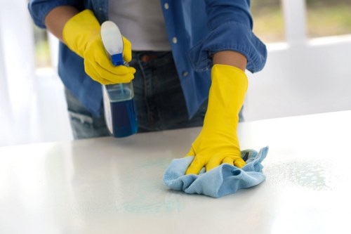 Stain removal process for rug cleaning in Isle Of Dogs